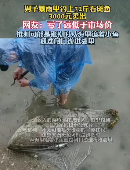 赚大发了！6月21日，福建，男子钓鱼感觉拉力很大，以为是条大鱼！结果，当他拉上岸