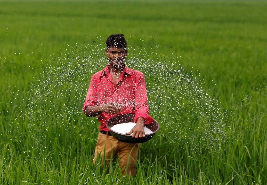 菲律宾主动找中国谈了国内经济压力大，粮食安全也让人发愁，菲律宾这回自己找上门，