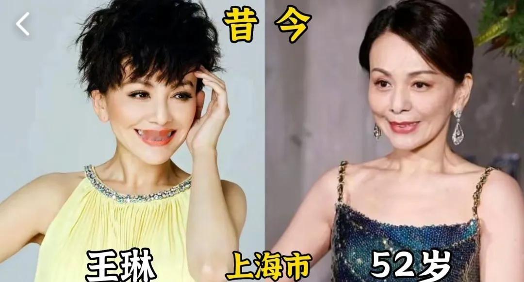 15位恶婆婆专业户女演员今昔对比，经典深入人心，你觉得谁可恨第1位:王琳第2