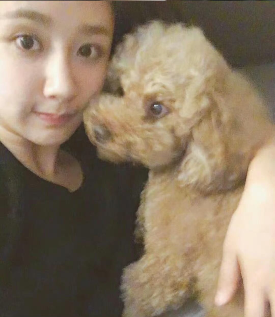 杨紫早期杨紫