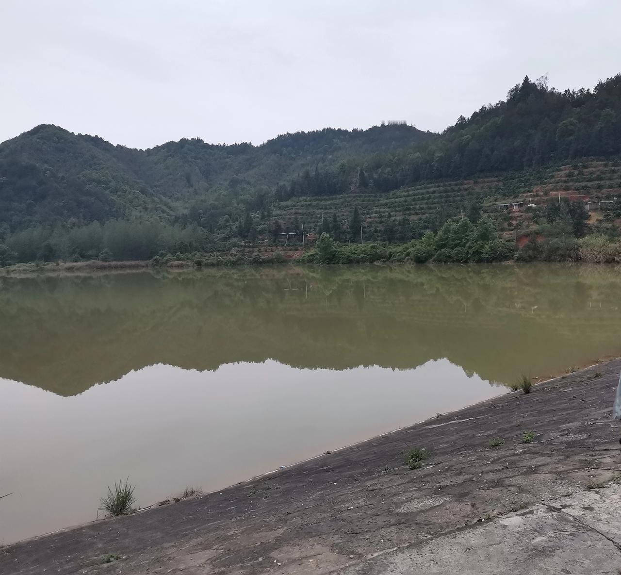 为什么普通老百姓的孩子会选择读师范？是因为认知决定了就业选择，父母眼中都希望自
