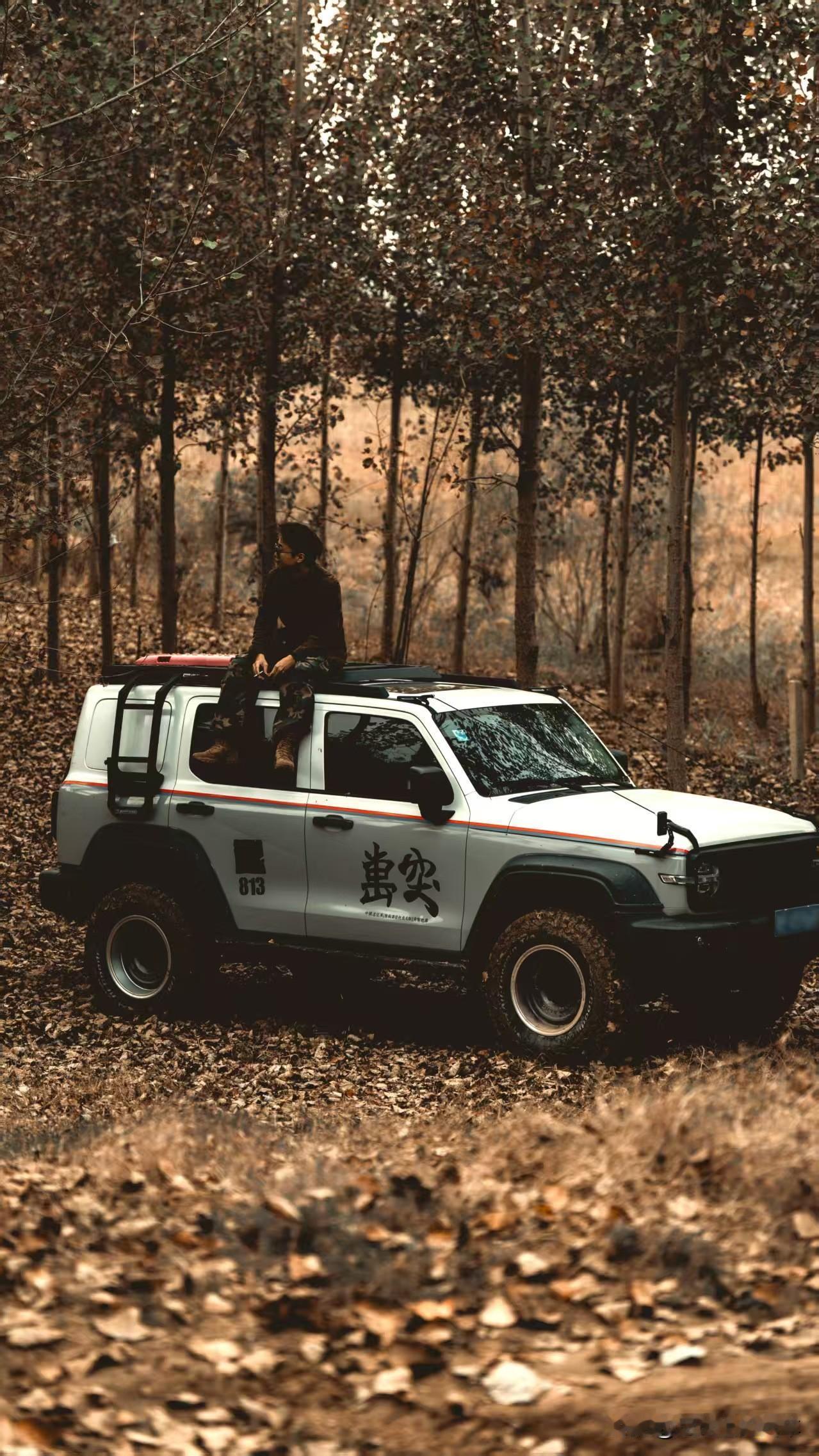 长城越野为啥这么狂？因为买越野车，只有两种选择，一种是长城，一种是其他。