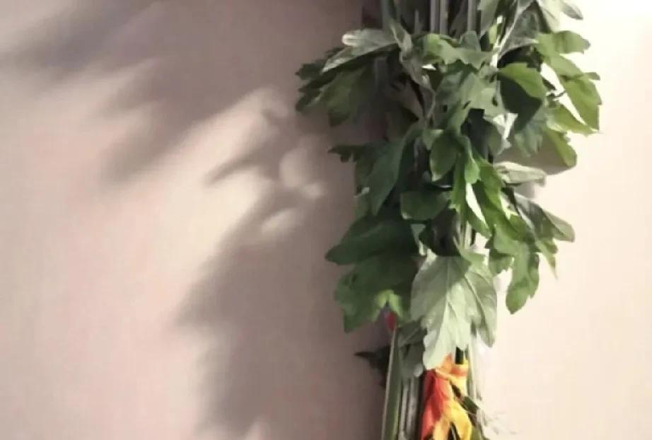 端午节，给婆婆送什么？在我们老家，端午节这天除了门前挂艾草，金银花滕，菖蒲，包