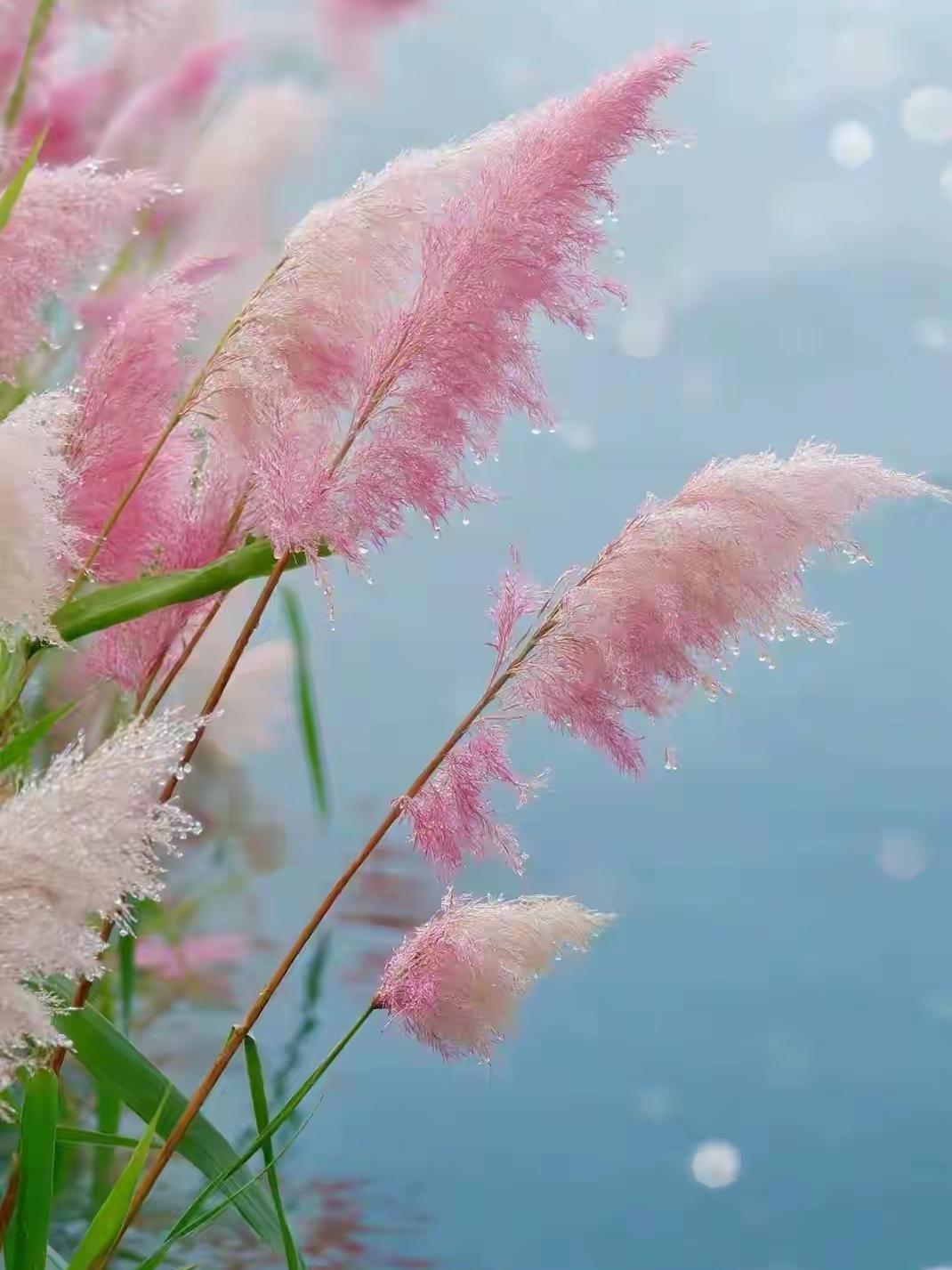 当一个女人活成没朋友的样子，才是真正的清醒和通透！除了家人，她基本不会有
