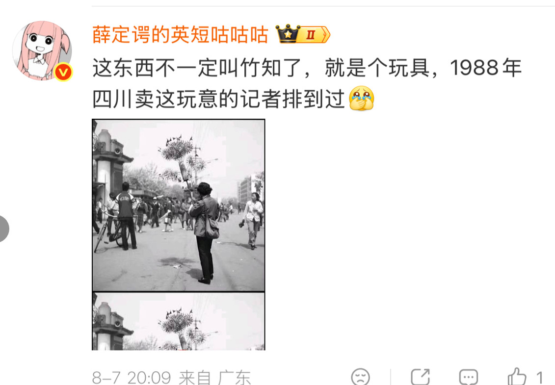 其他的不说，我挺佩服英短的求证能力。就是有时候容易走歪。