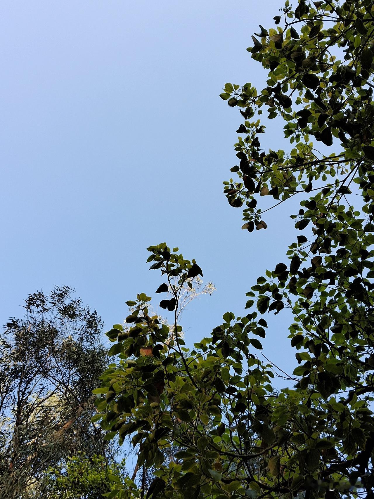 顶级的养生，是养成一种习惯一、早起后一杯温水，助排毒，激活细胞。二、200下