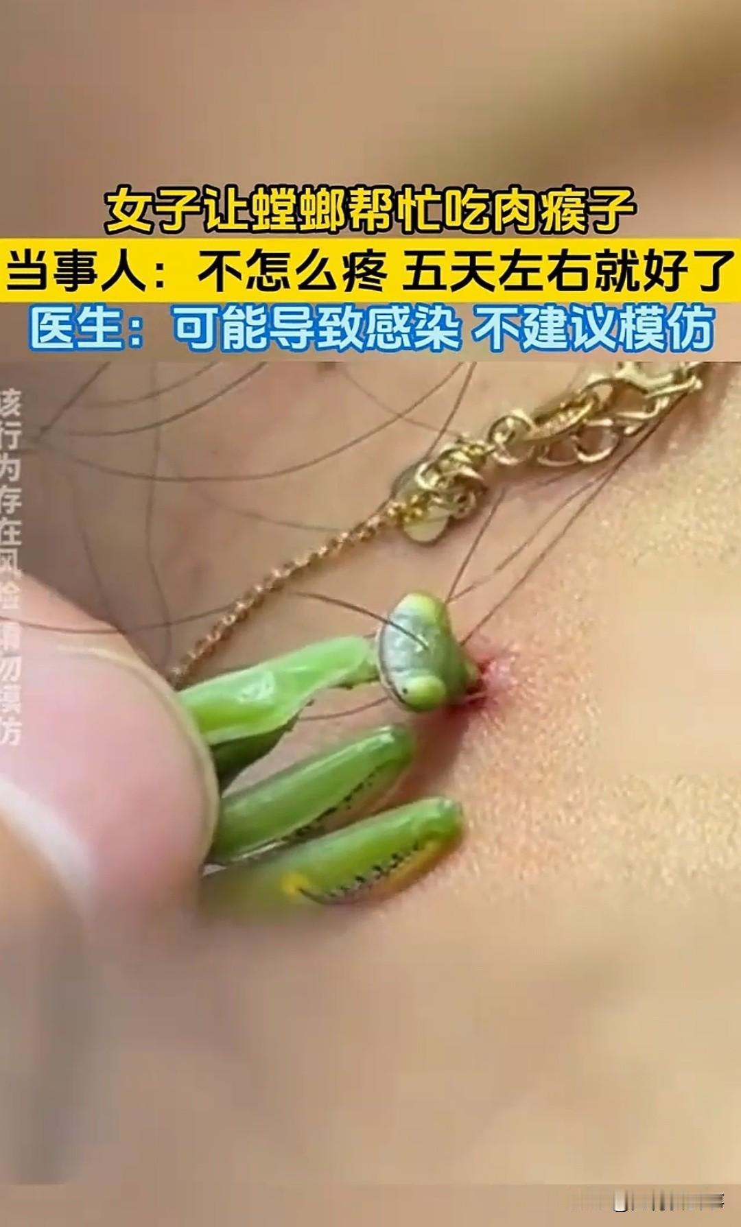 一女子在店门口捡到一只螳螂，不扔也不踩，居然按住它往自己脖子上凑，没想到接下来发