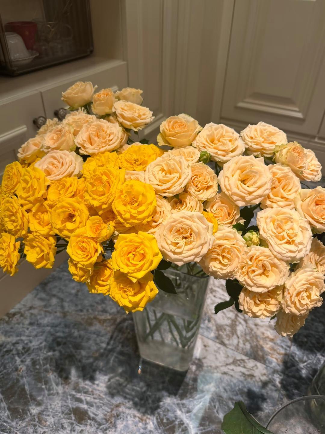 婆婆要去照顾小姑子坐月子，儿媳坚决反对，背后的家庭矛盾太现实男人的妹妹下个月