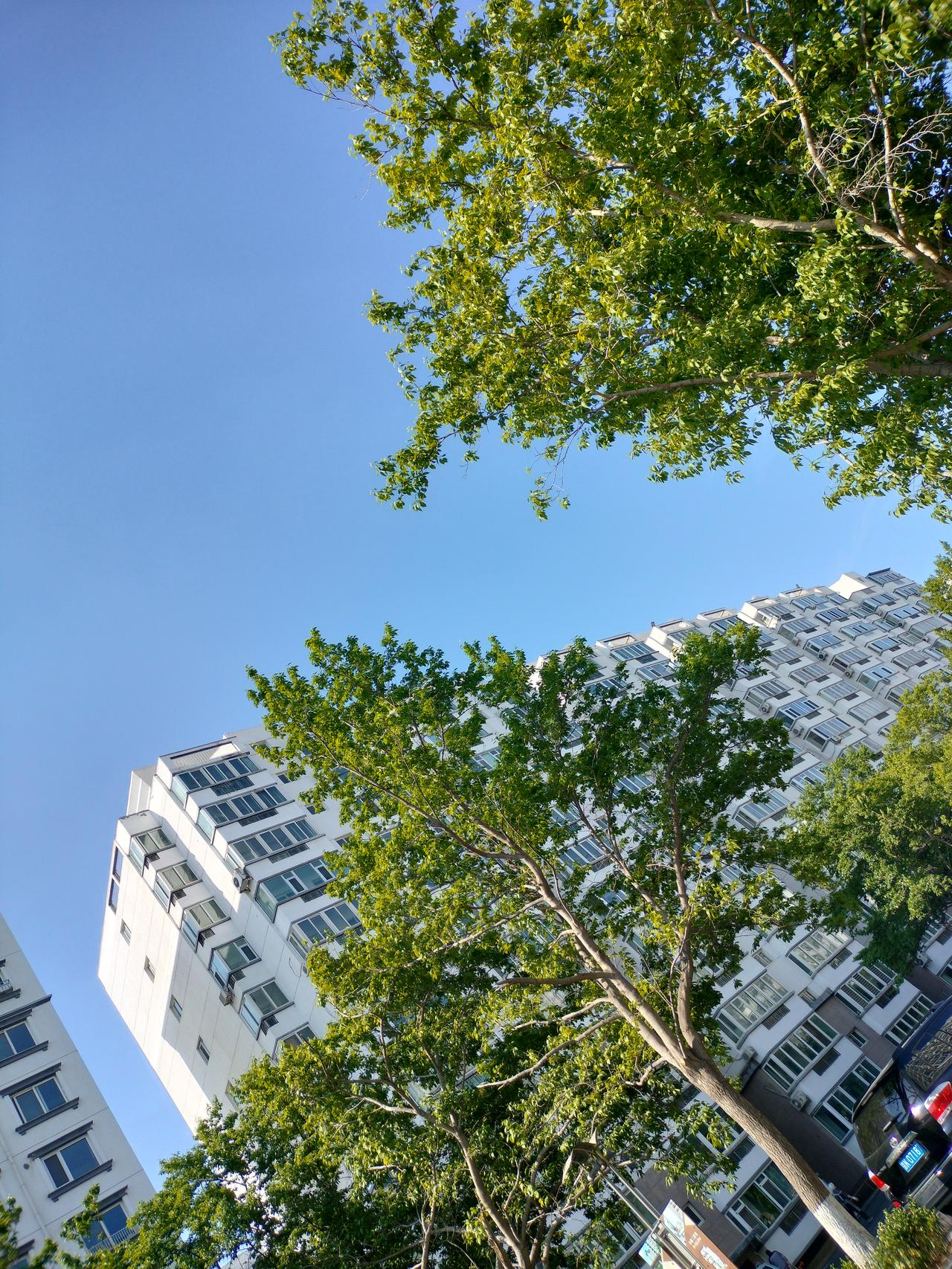 最高级的认可，就是20年后，在同一个小区再买一套房。昨天碰到顶楼的小两口，聊天