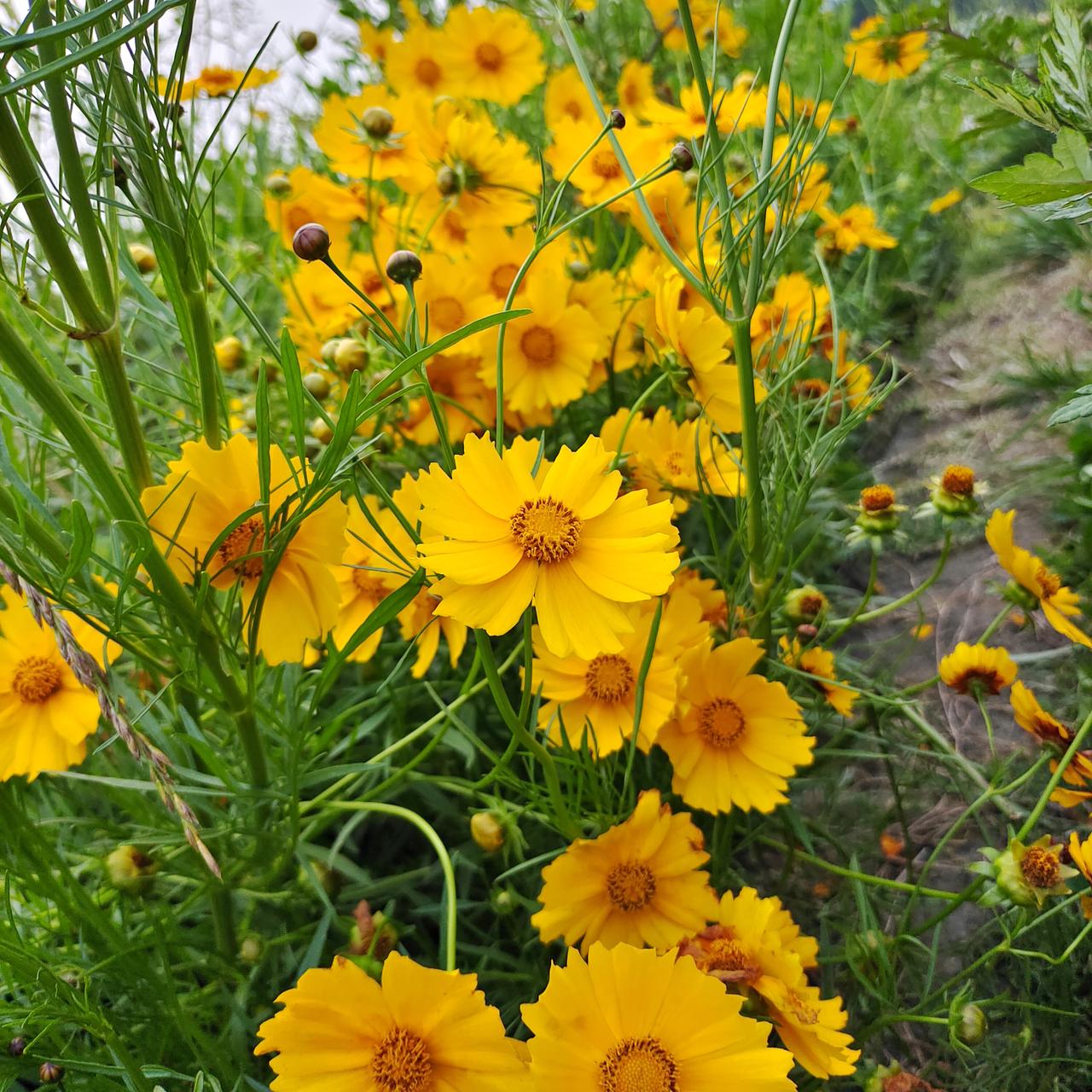 小的时候总是好奇和幻想山的那边是什么？而你走过人生的悲欢离合酸甜苦辣，你会发现，