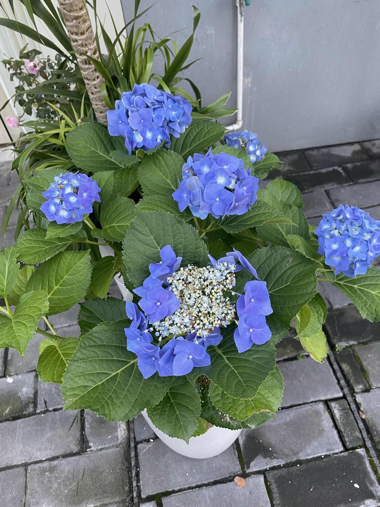 你知道现在的女孩能有多心机吗？上个月公司入职了一个实习的女大学生。主管就让我带一