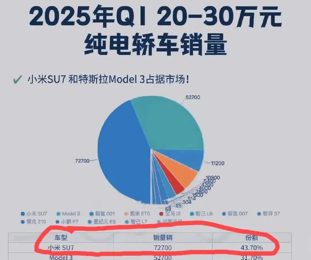 看了一下国内一季度纯电轿车的市占图，明白为什么小米这么招黑了。除了小米su7