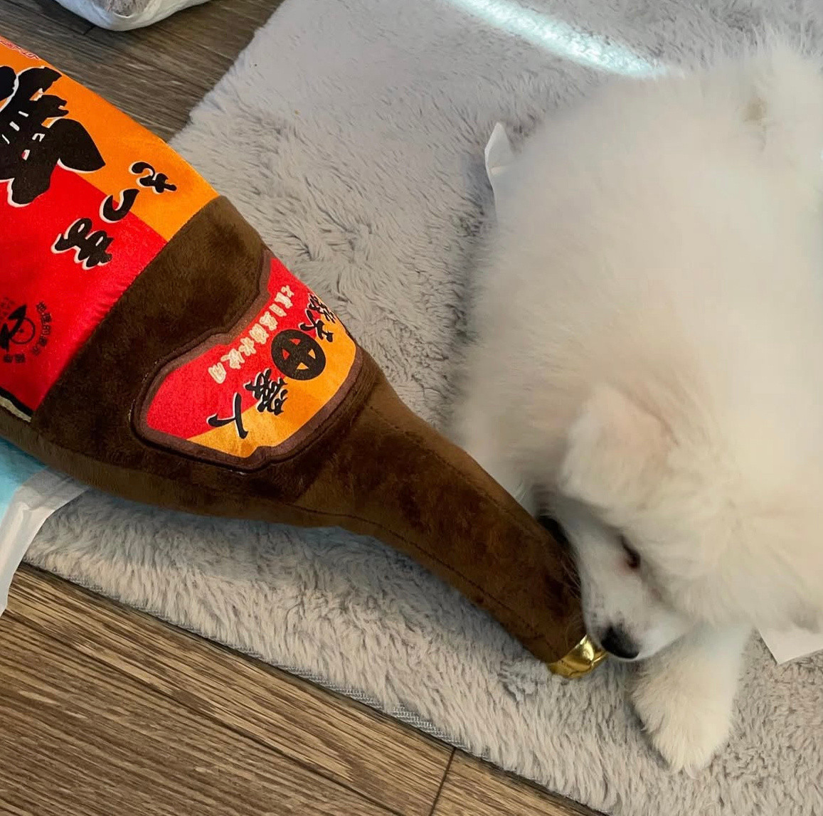 高考结束，我已经是只大狗狗了，尝尝麻麻藏的酒​​​