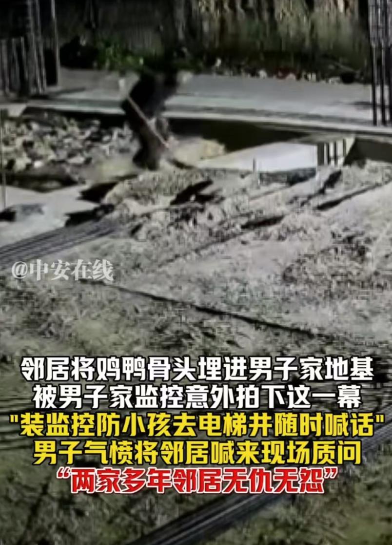 “这是什么目的？”广东，一男子查看监控时，无意间发现邻居深夜往自己的宅基地里埋东