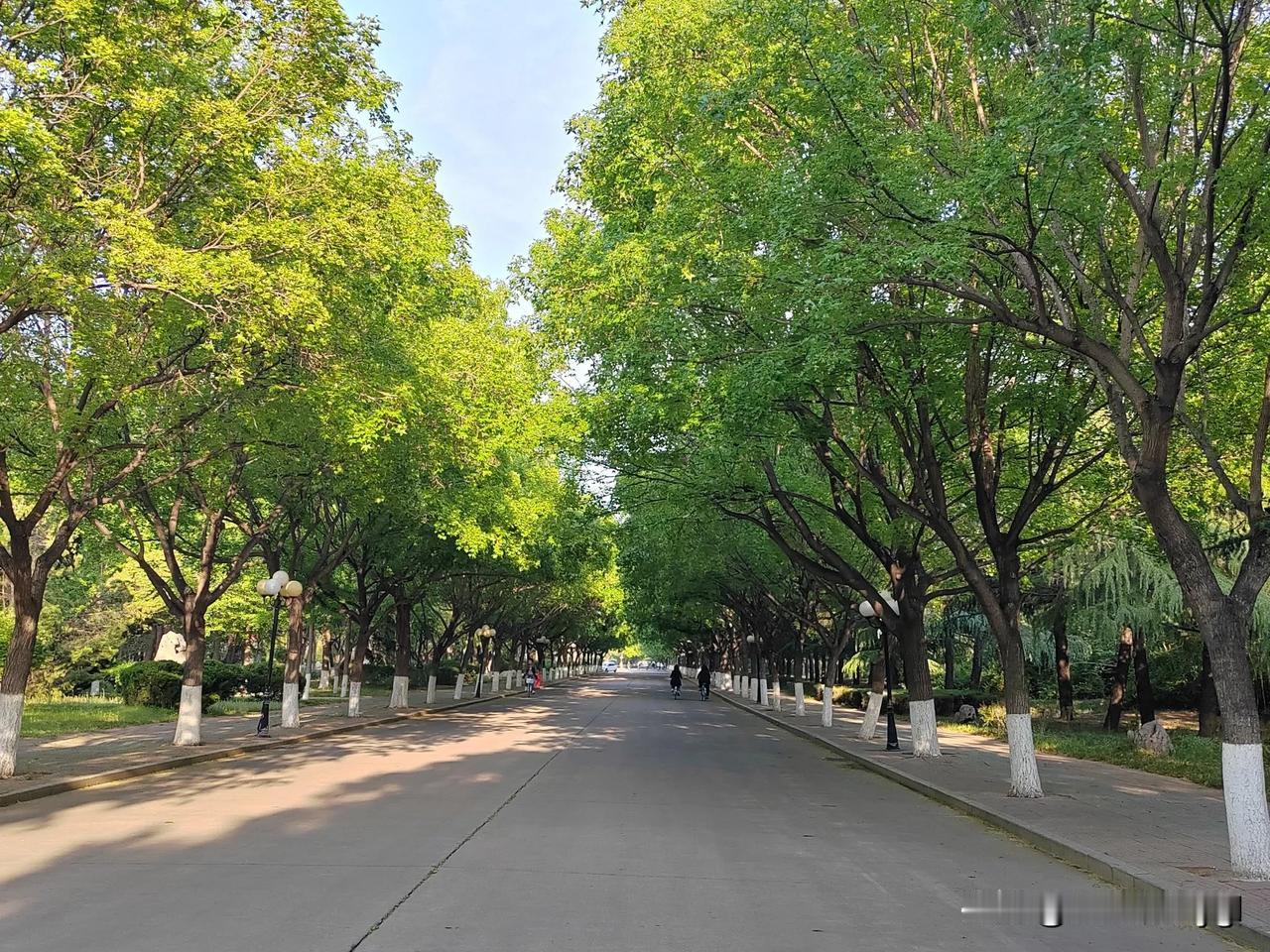 五一放假安排:我的旅游路线:老妈家-卧室床-客厅沙发-阳台-卧室床-厕所-厨房