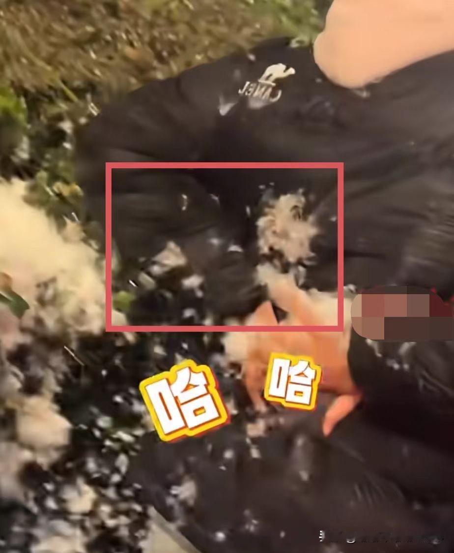 现在最开心的就是骆驼羽绒服了！不是因为这次羽绒服跑绒事件售后做的好，而是消费者