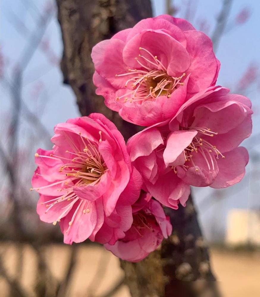 大寒节气有一些禁忌，请大家注意：最近翻老黄历才发现，今天已经是大寒了，一年最