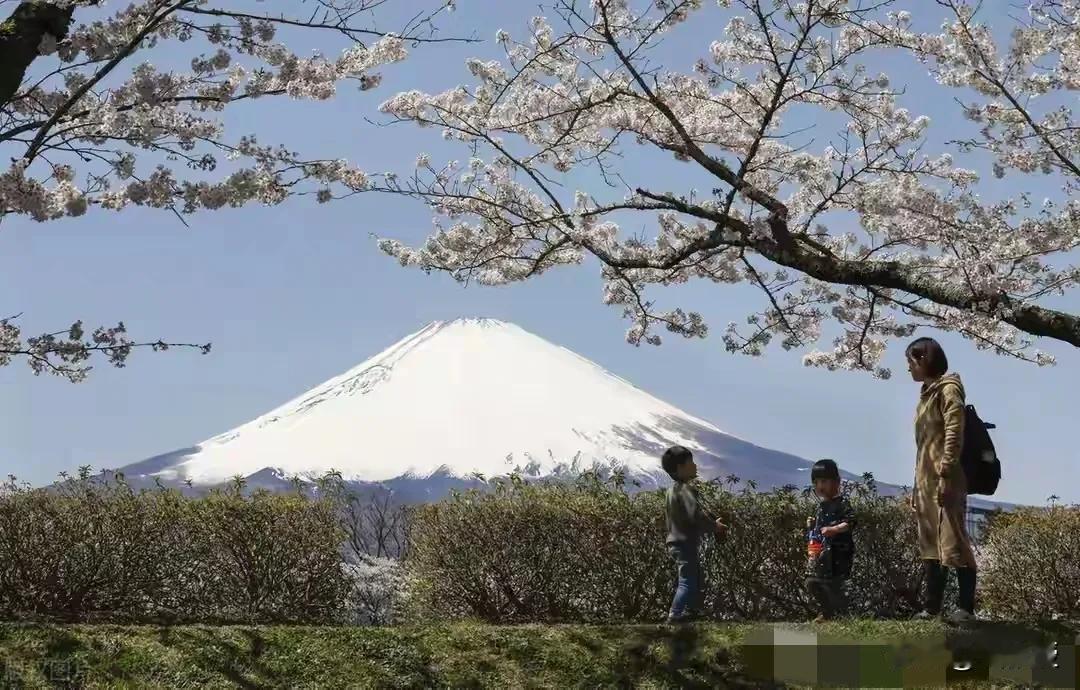 为啥这么多中国人爱到日本旅游？日方的数据还显示，自2023年以来，中国内地来日