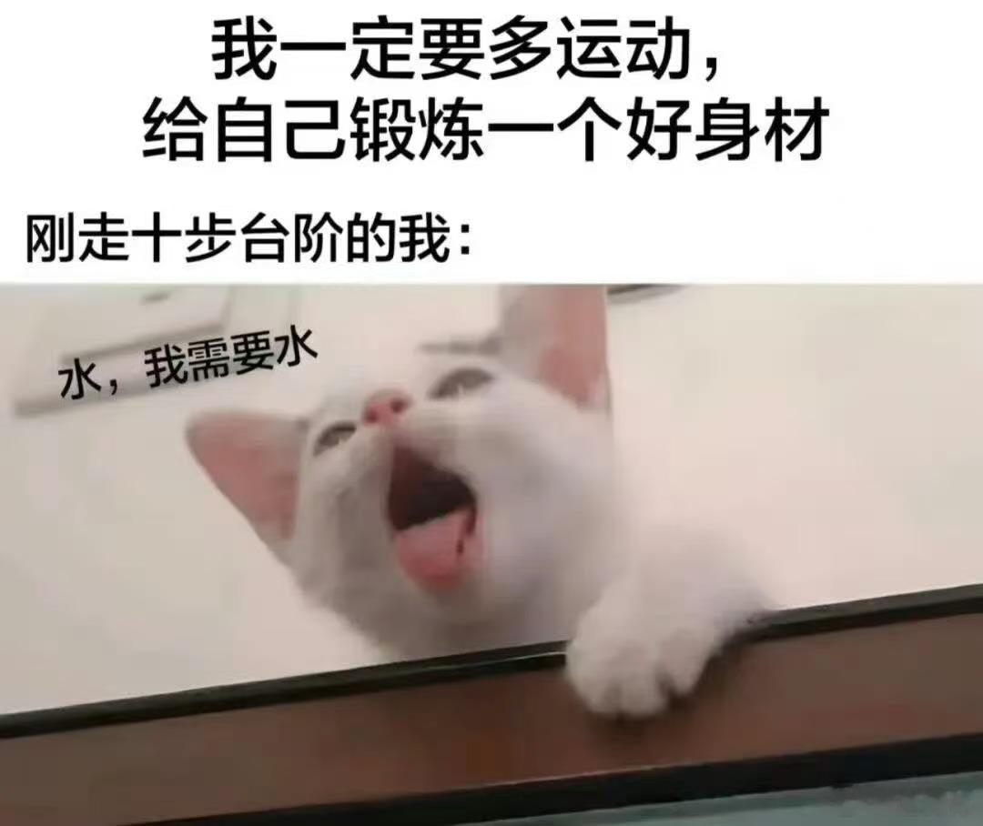 🥵memes迷译图