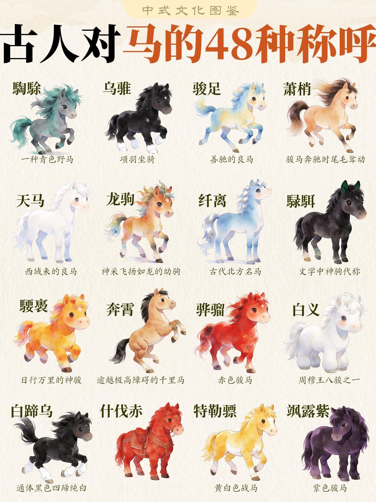 古人对马的48种称呼🌻你的小马已就位❗❗
