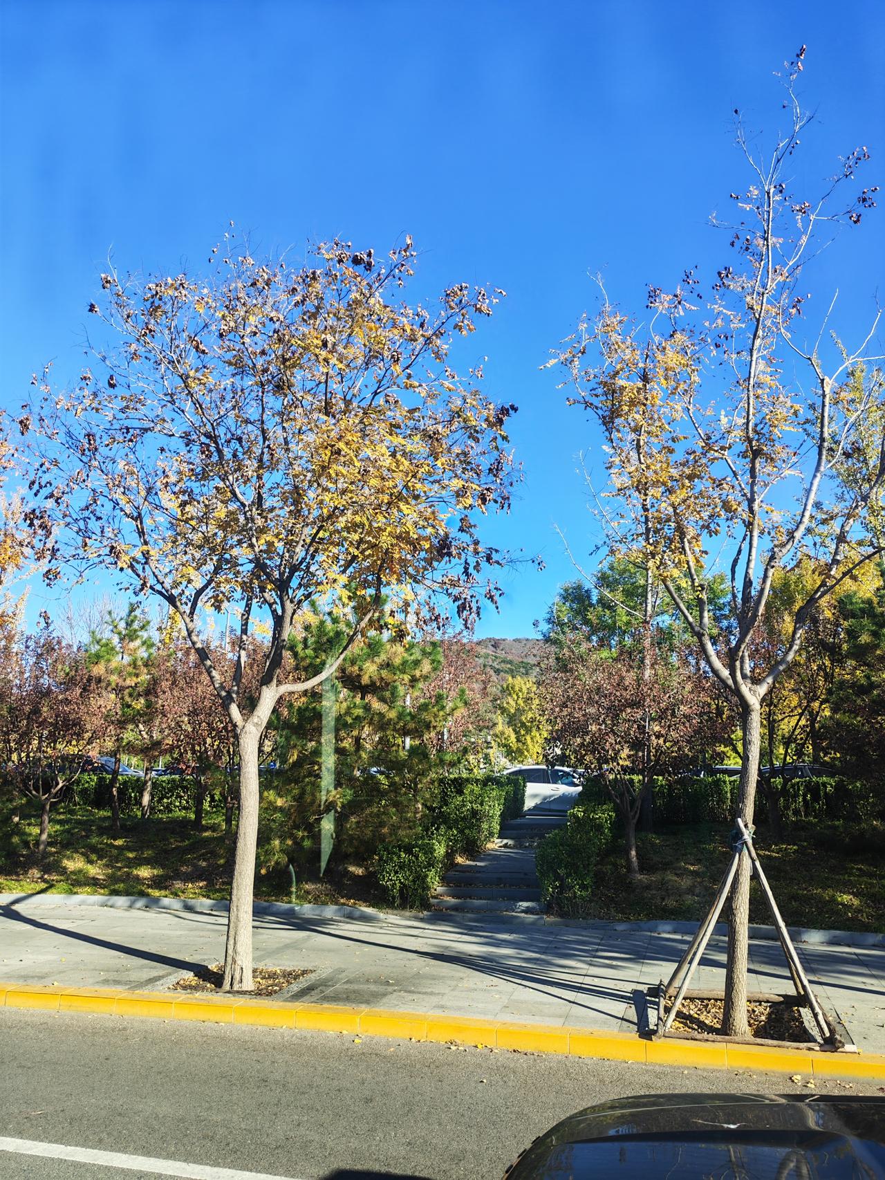 岁至立冬，万物开始一场静默的修行。人生就是让自己变厉害的过程，谁也不能替你变厉