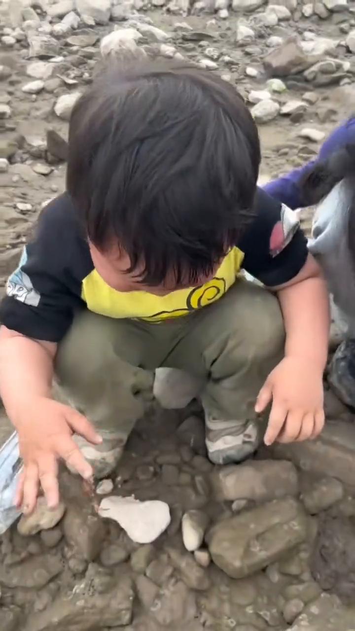 这是什么螃蟹？我就按住了。