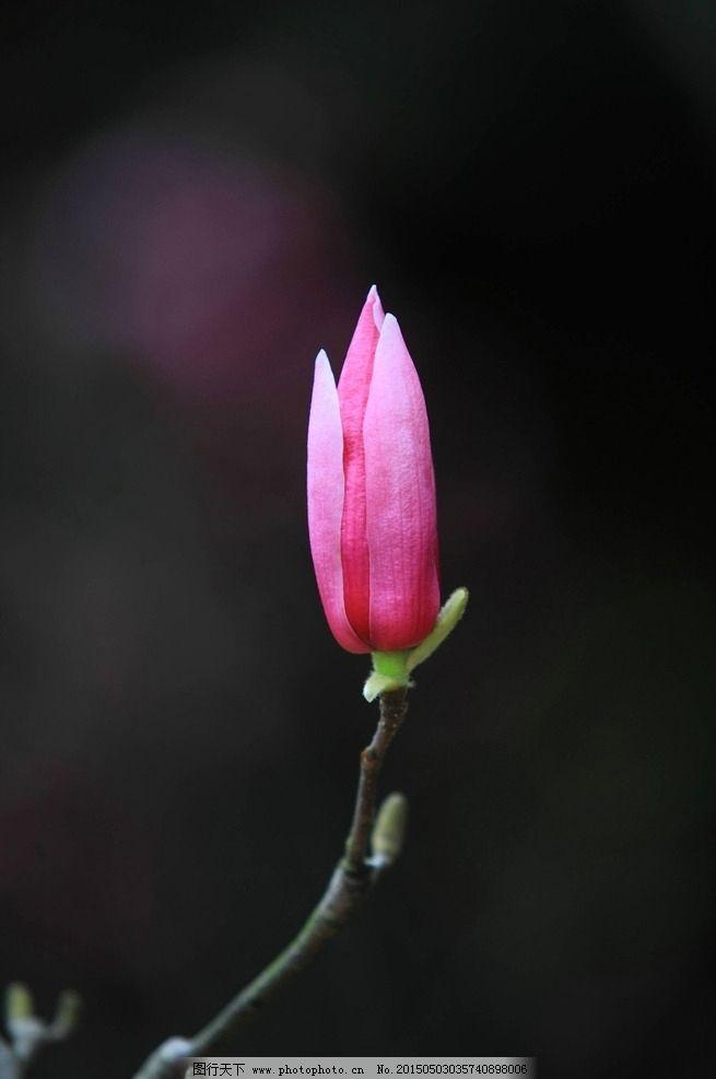 周三市场分化显著，周四走势探讨！回顾周三大A表现，全天成交不足2.5万亿，不过