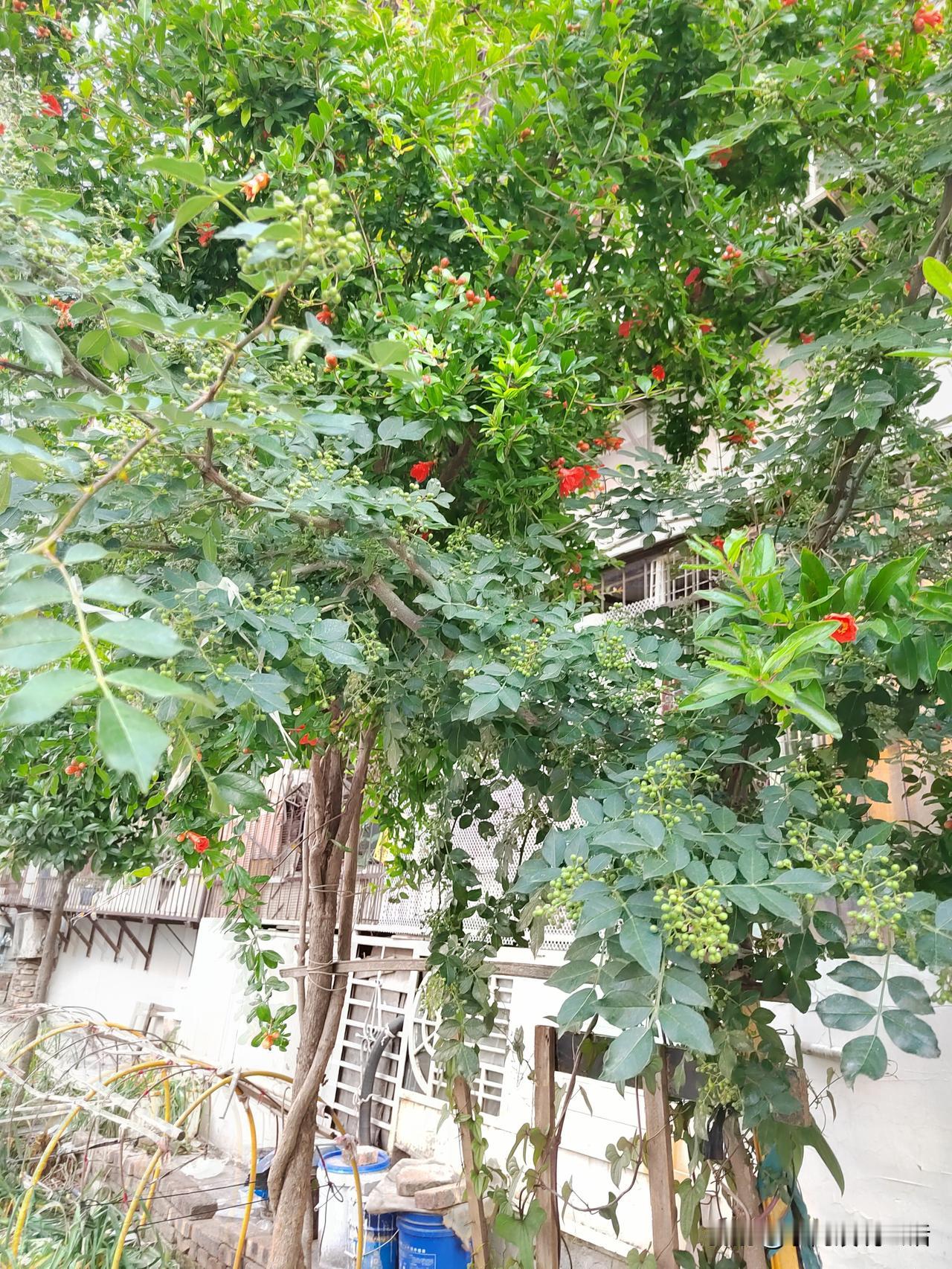 哎呀，晒一回退休金，我是哭一回，真没办法！我是今年2月份退休的。退休前，我把