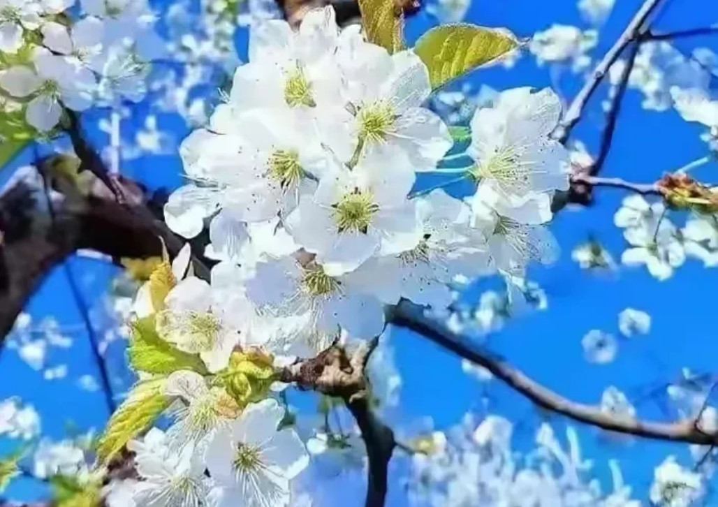 同事唉声叹气，我问她怎么了？她说小儿子读大学，一个月竟然花了4千多。同事有两个儿