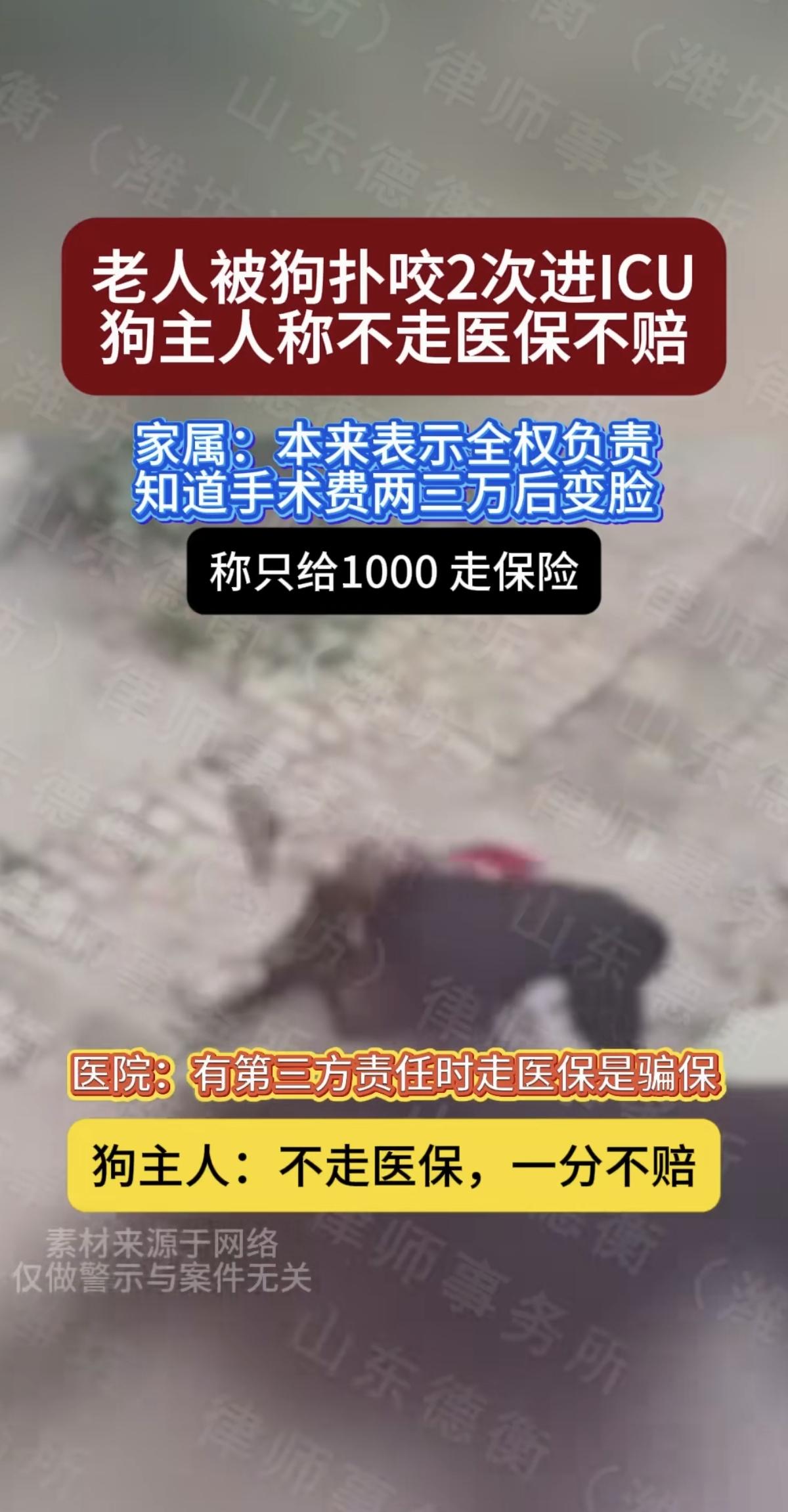 “不走医保，一分不赔”？狗把老人咬伤进了2次ICU，狗主人说是要负全责，但一听手