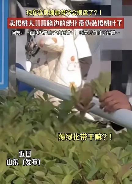 救命！山东樱桃大叔的“骚操作”把网友笑不活了！家人们谁懂啊！山东一位卖樱桃