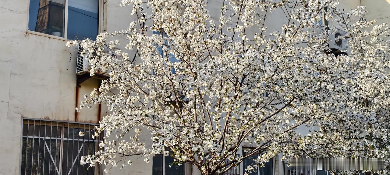 细节要是整不明白，你那“5亿”的梦想也就是个梦，甚至还要倒贴！今天在会议室，