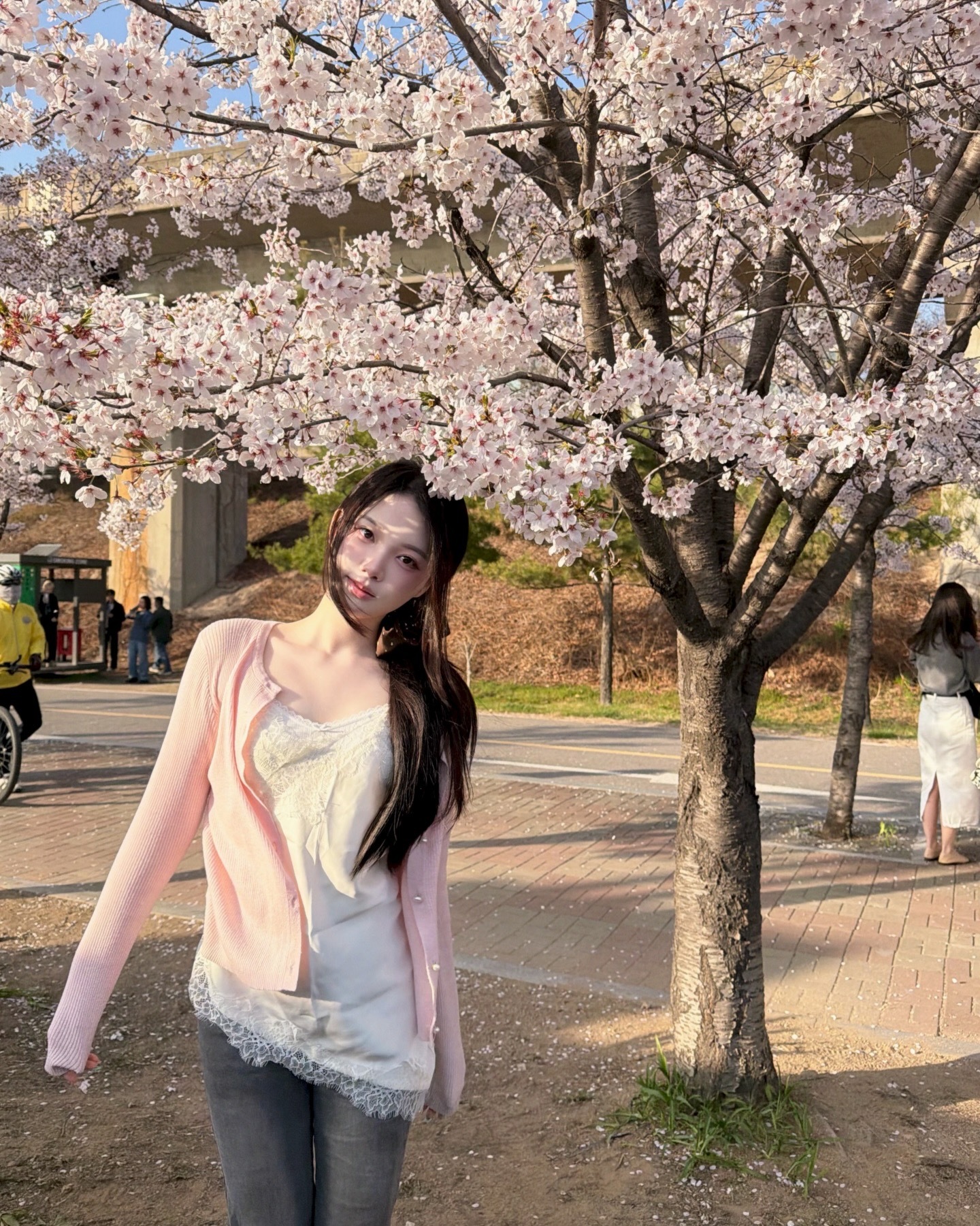 蔡秀雅樱花随拍