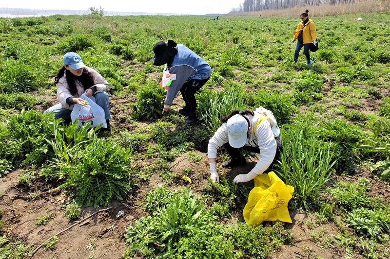 相亲约着挖野菜，结果全被男方拿走：一顿操作，让我看清一个人相亲第一次见面，