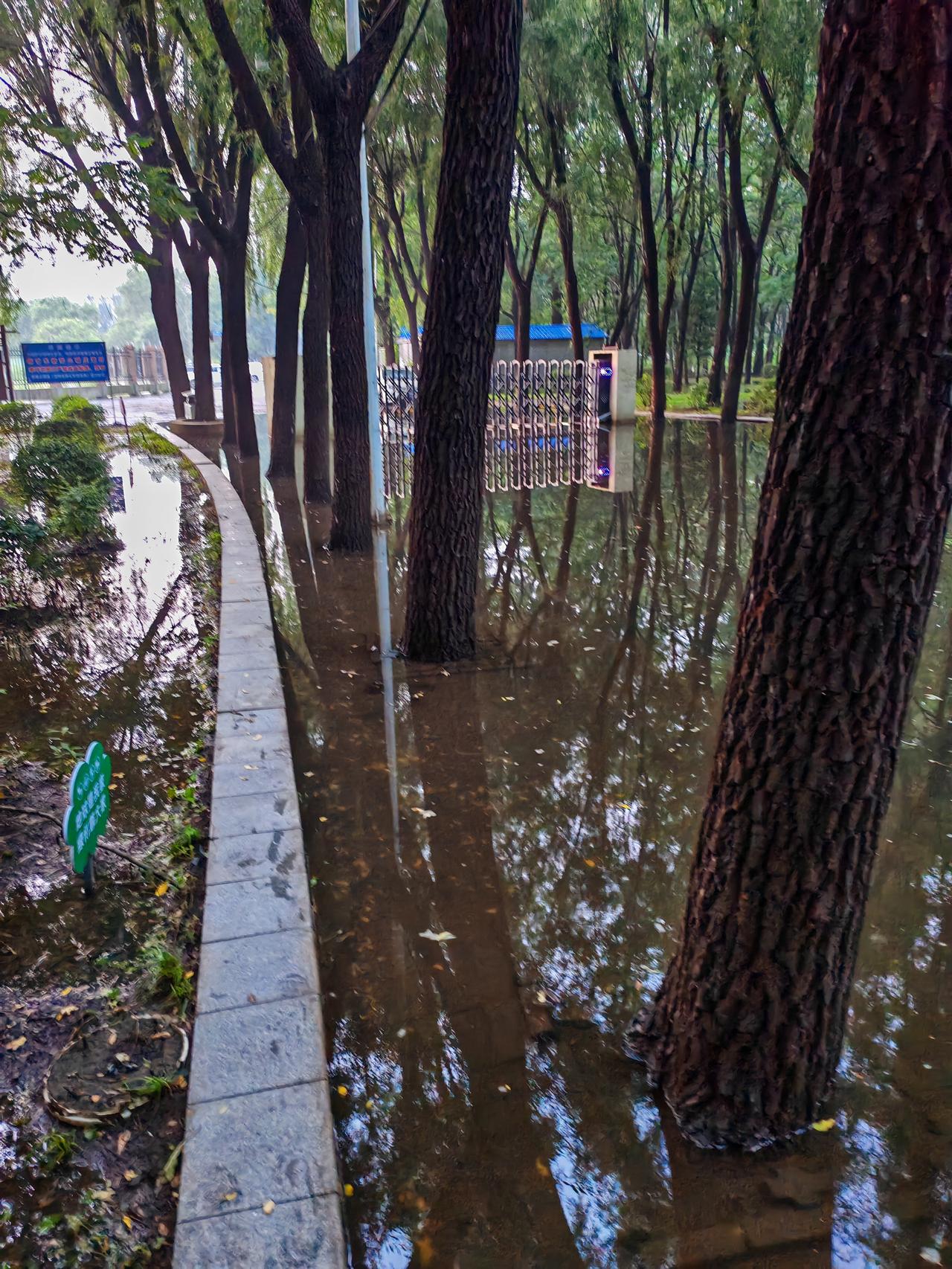 沈阳铁西森林公园，7月14日巴威暴雨都过去了10多天了，这里的积水还没散尽。很奇
