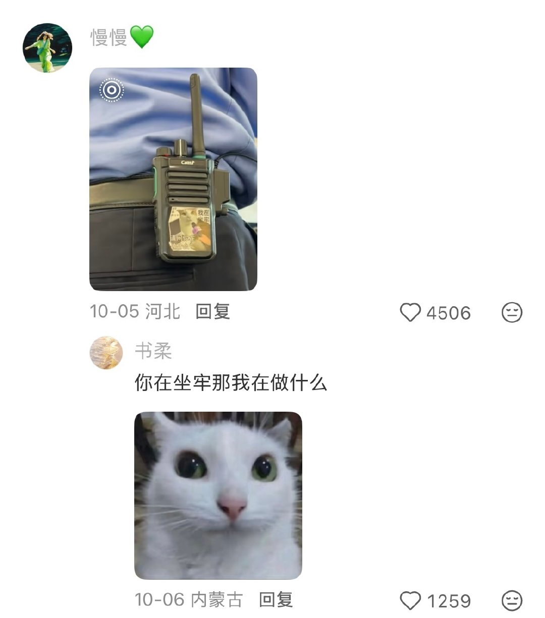 #机器狗第一次进哀牢山就拍到冥界之花#列车员的工作状态....原来大家都在假装大人啊🤣👌​​​