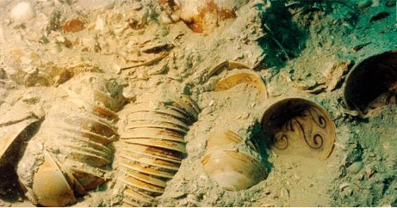 1998年,德国一水泥厂老板在印尼海底捞出一艘中国唐代沉船，上面装有6万多件珍贵