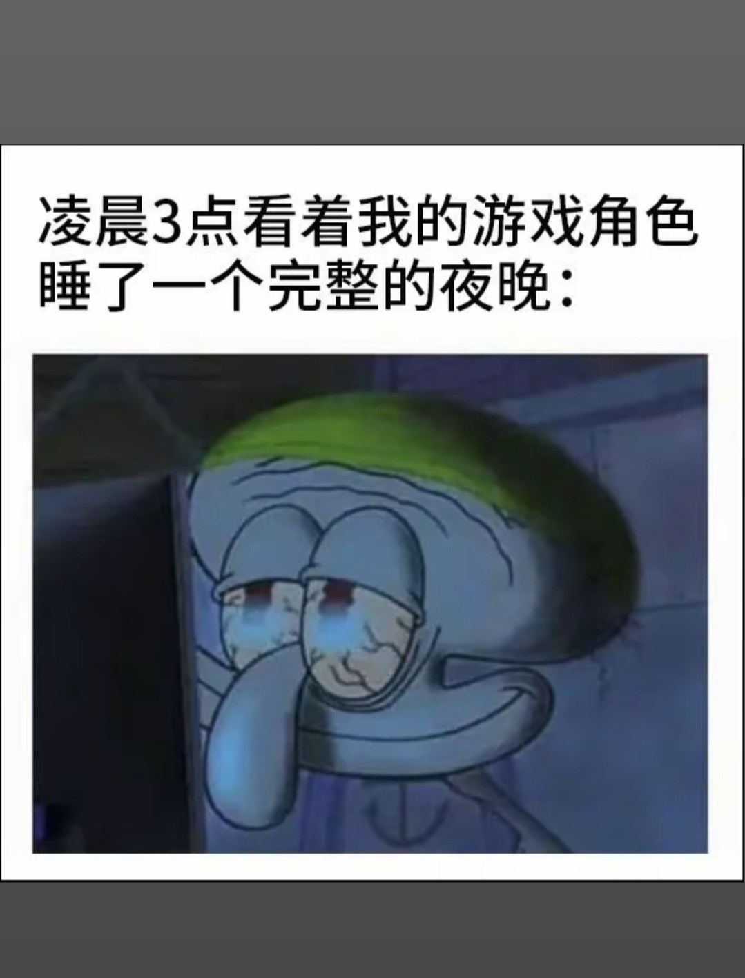 小猫都不愿意和我打招呼