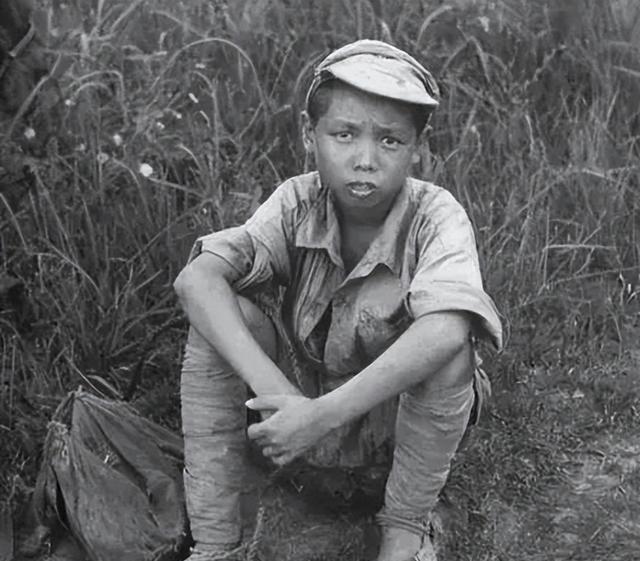 1944年，一少年被鬼子抓去帮他们搬弹药。半路上，他扛着子弹箱，偷偷往四下扫了一