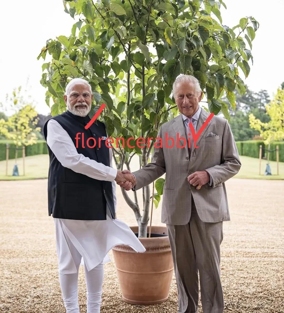 印度总理纳伦德拉·莫迪正在对英国和马尔代夫进行为期四天的访问。周四，莫迪与英首相