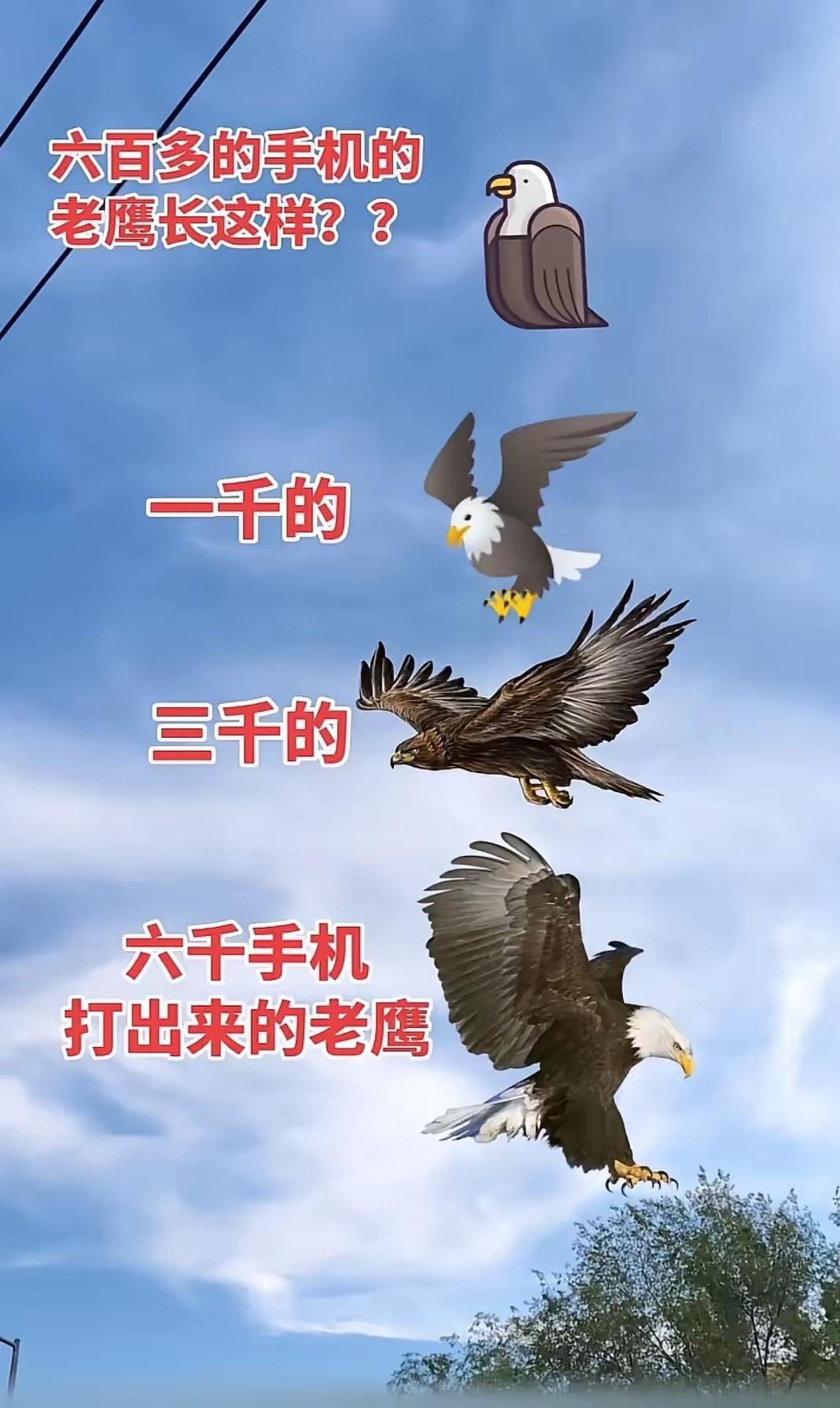 你的手机打出来是什么样？
