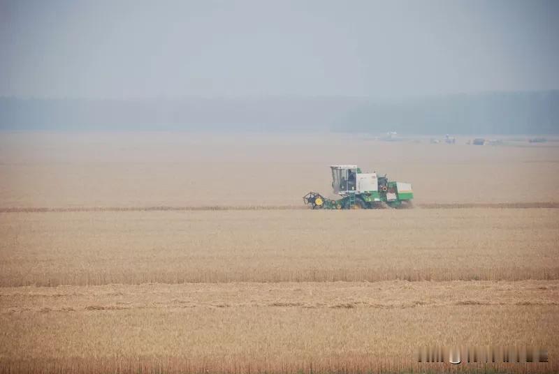 新一轮的农村土地承包期再延长三十年，基本上可以覆盖目前依靠土地耕种生活的五零后、