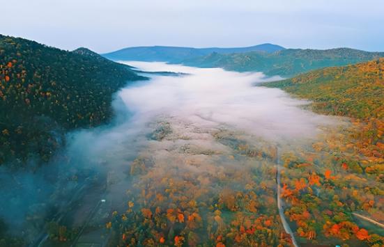 清代修筑柳边条，是为了封禁东北发祥地吗？ 这得从满人入关说起，当年多尔衮带着