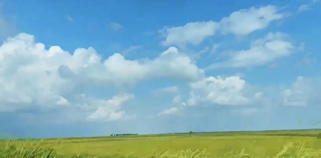 东营市当年为什么没有命名为胜利市？最近看到一个话题，一位从小在胜利油田长大的先