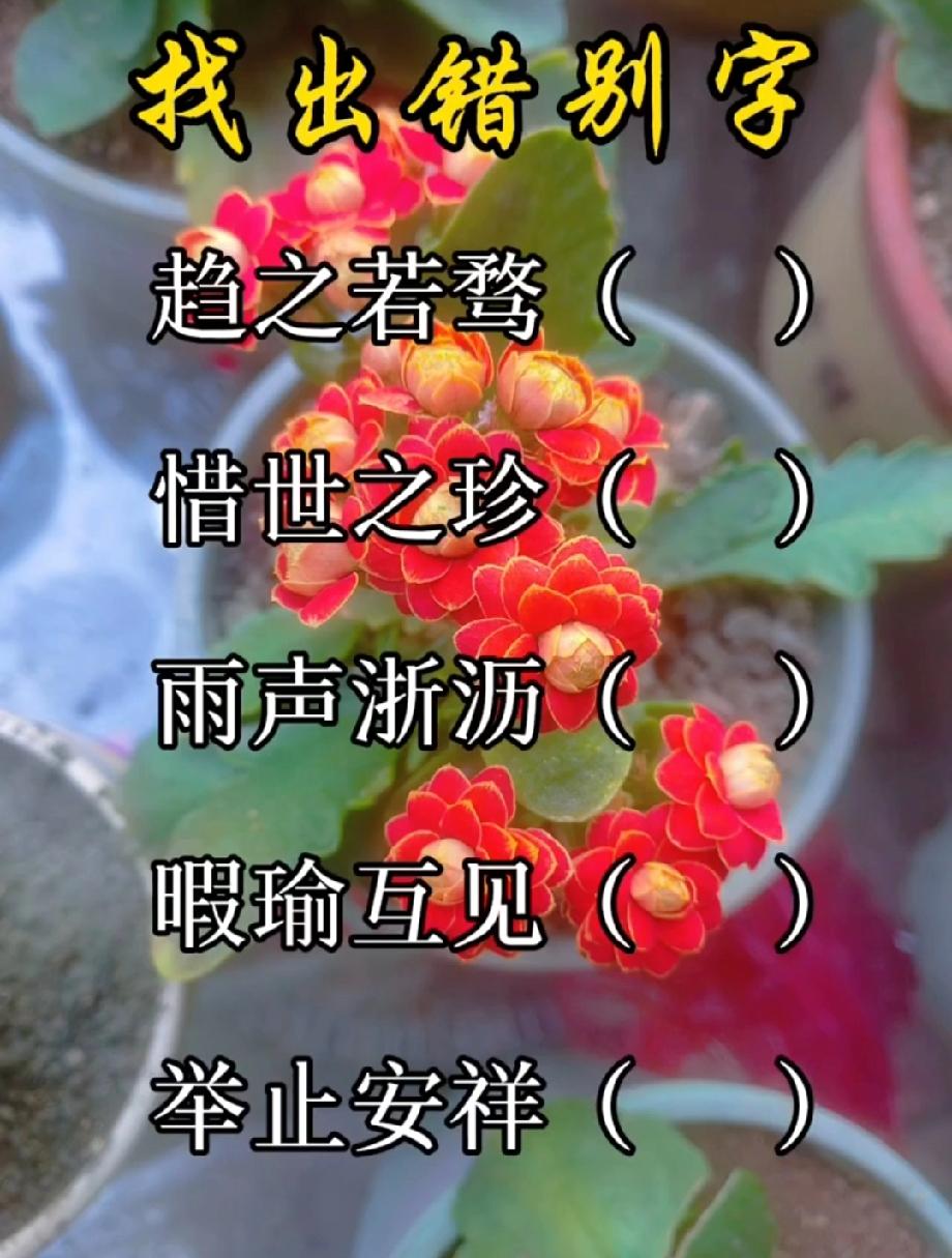 这5个成语藏着错别字，90%的人第一眼都没看出来，你能找全吗？