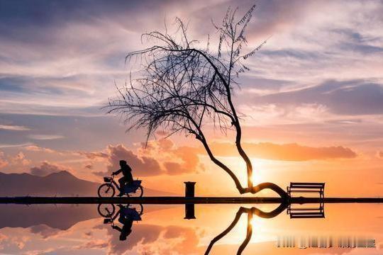 女婿陪丈母娘“捉奸”，结果警察破门后，为啥慌张躲床底的却是女婿？😅昨晚真实