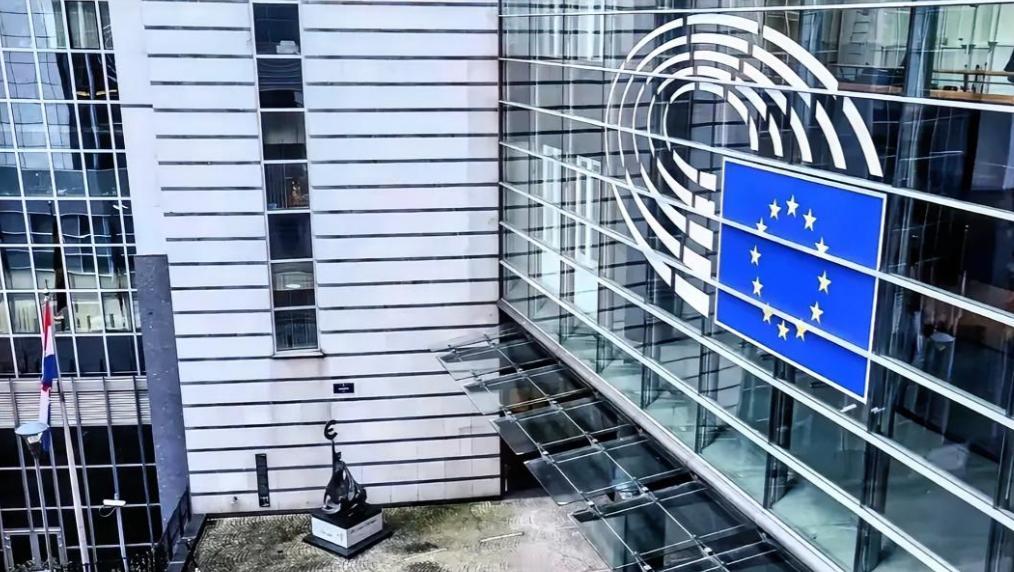 2月11号下午，斯特拉斯堡那间能坐七百多人的会议厅里，欧洲议会的表决灯亮了。