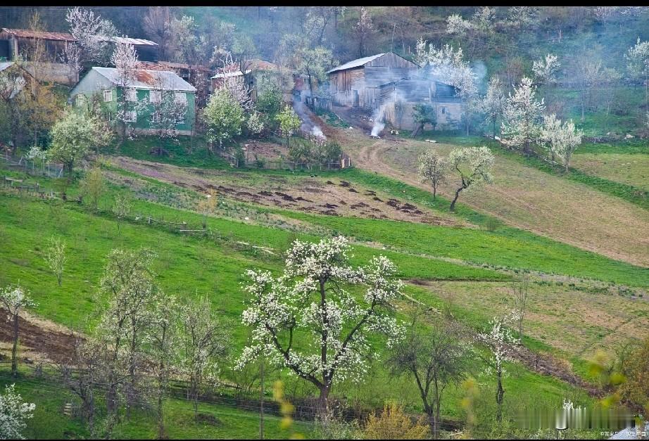 父亲在80岁的时候,突然提出想回老家生活,这让我们都措手不及。父亲大半生都在城