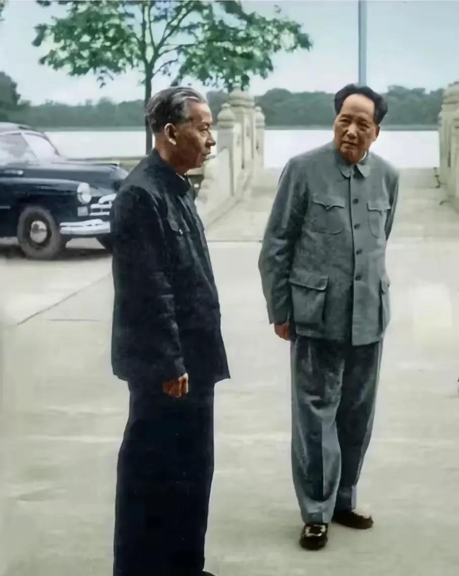 这是一张非常珍贵的历史老照片。照片中，两位共和国主席同框留照。国之大者，胸怀天