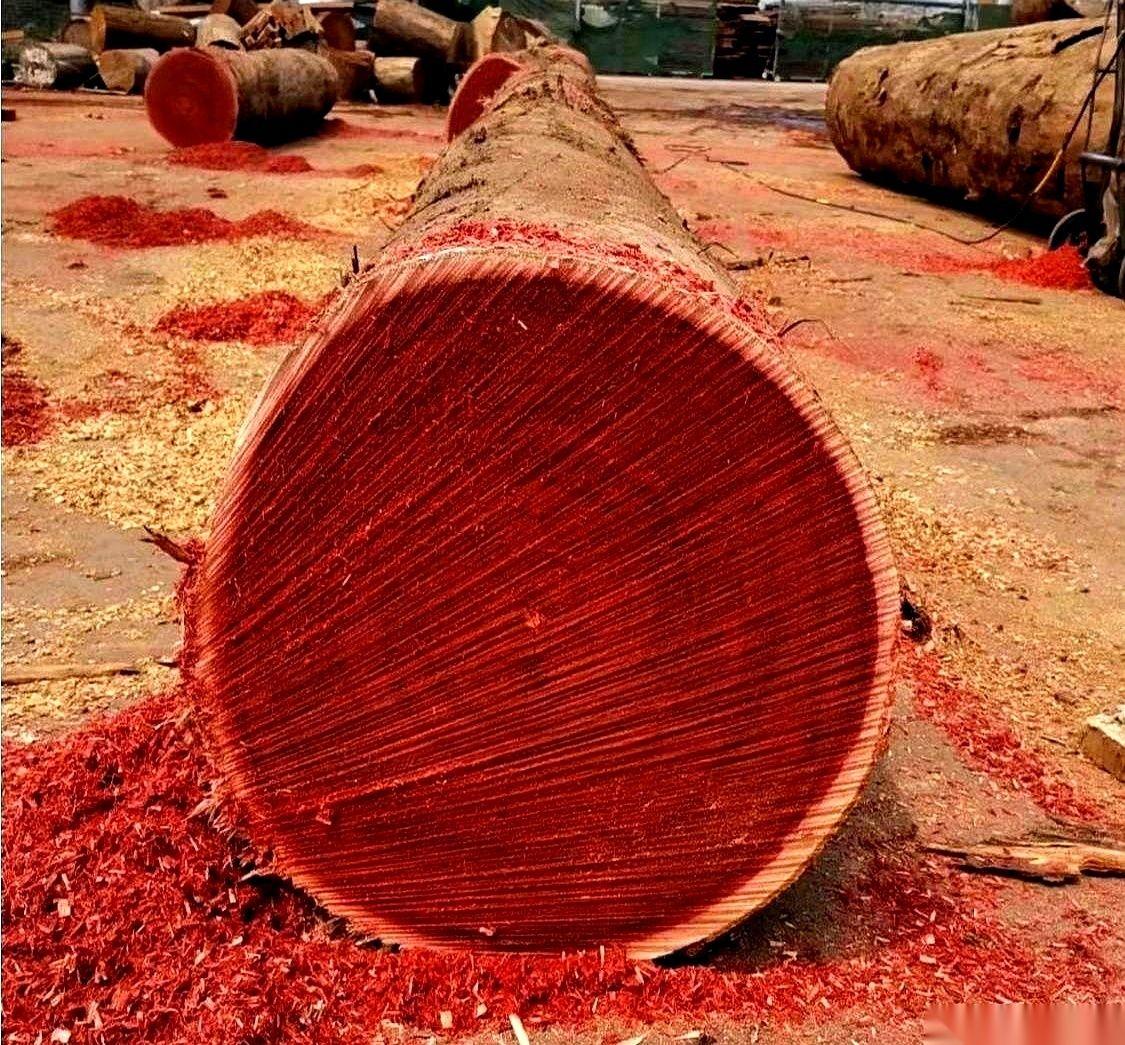 领导拍着你肩膀，喊你‘兄弟’的那一刻，你最好立马清醒点。真的，别晕。那一声“